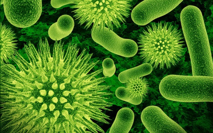 Ketahui Penyakit Berbahaya Yang Disebabkan Oleh Bakteri