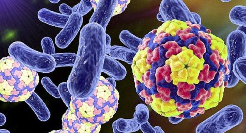 How to Prevent Disease Transmission