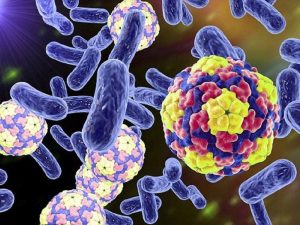 How to Prevent Disease Transmission